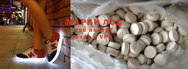 прущие грибы Бронницы