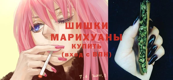 прущие грибы Бронницы