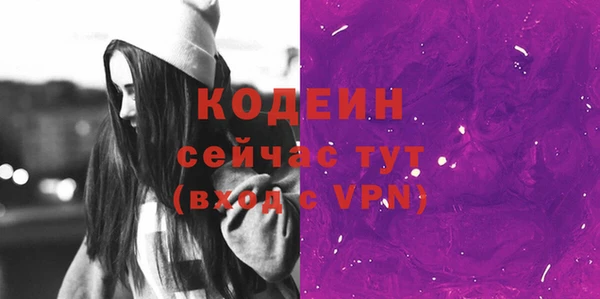 прущие грибы Бронницы