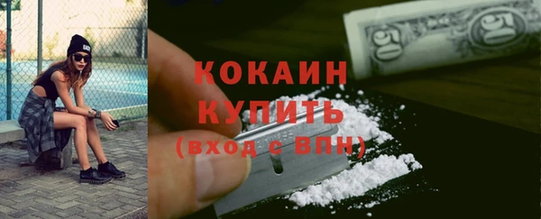 прущие грибы Бронницы