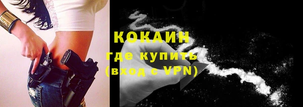прущие грибы Бронницы