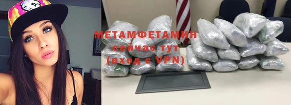 прущие грибы Бронницы