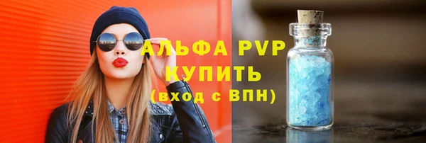 прущие грибы Бронницы