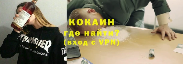 spice Богданович