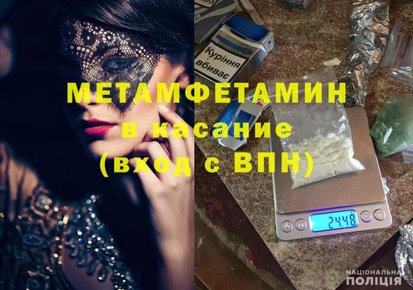 прущие грибы Бронницы