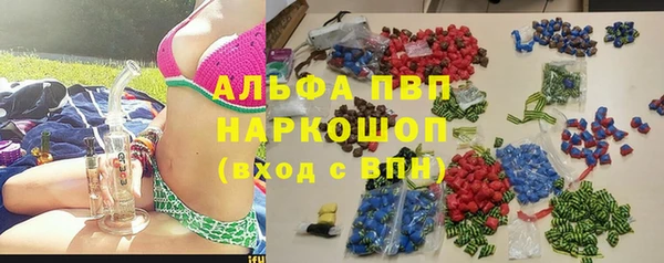 прущие грибы Бронницы
