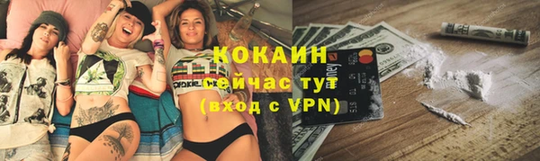 прущие грибы Бронницы