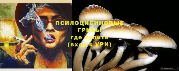 прущие грибы Бронницы