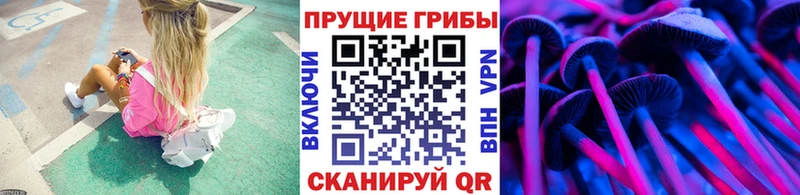 Псилоцибиновые грибы мухоморы  как найти наркотики  Троицк 